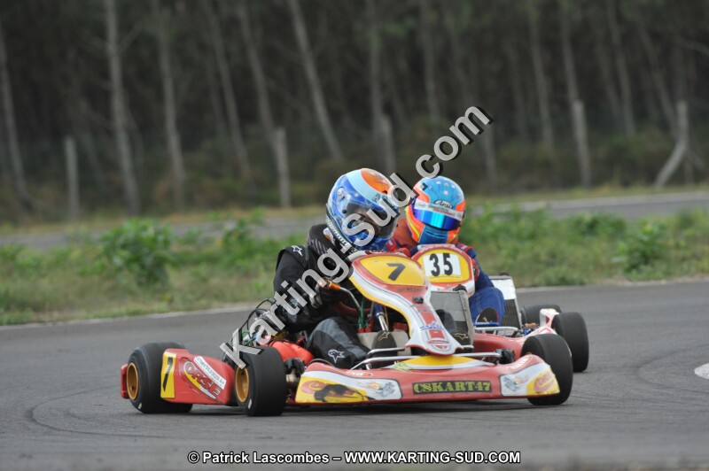 DSC_7991.JPG