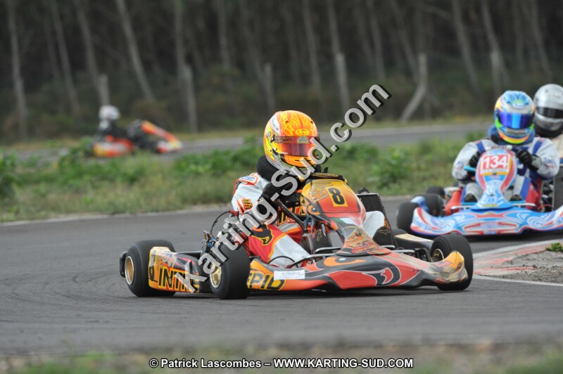 DSC_7993.JPG