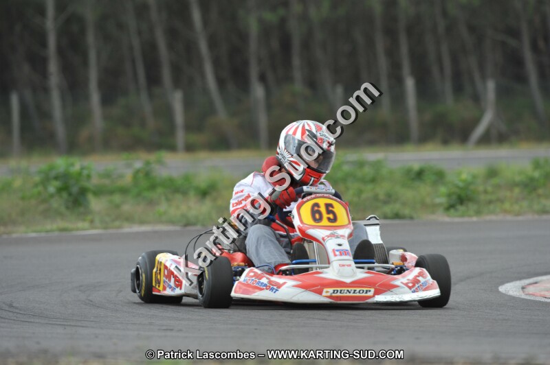 DSC_7998.JPG