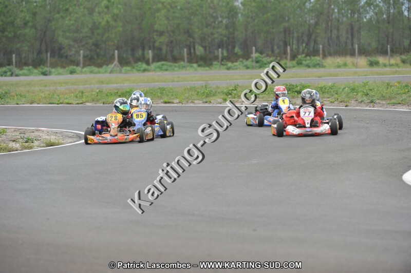 DSC_8033.JPG