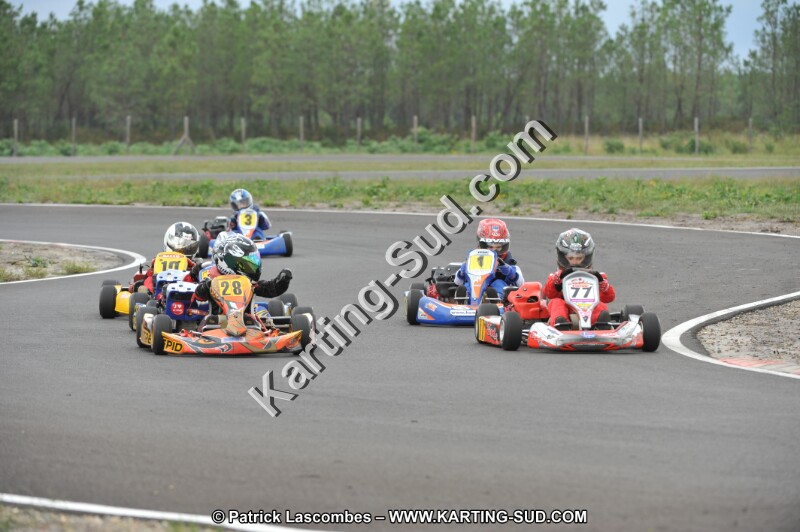 DSC_8037.JPG