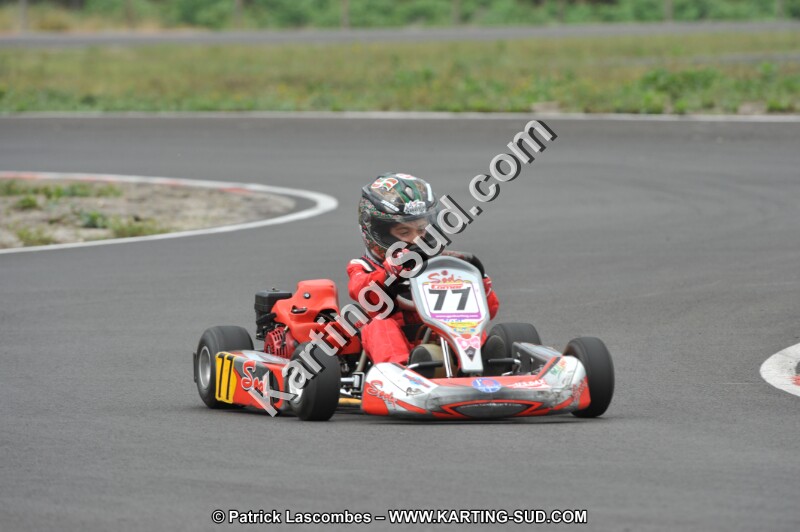 DSC_8071.JPG