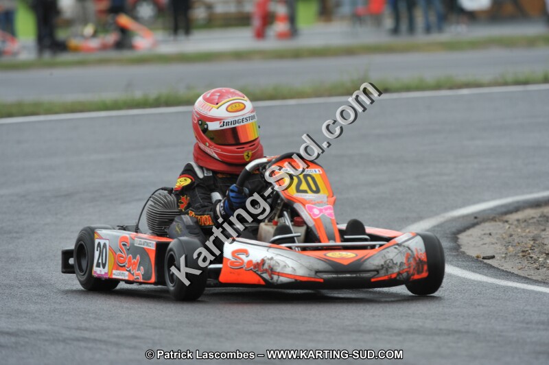 DSC_8151.JPG