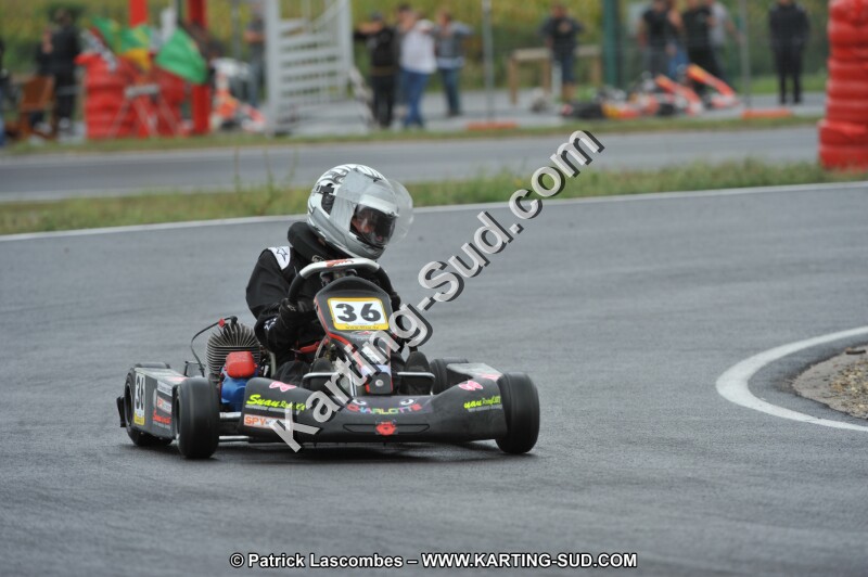 DSC_8170.JPG