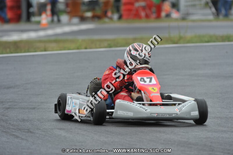 DSC_8198.JPG