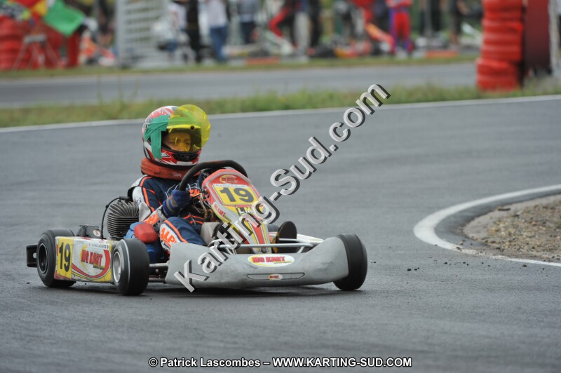 DSC_8222.JPG