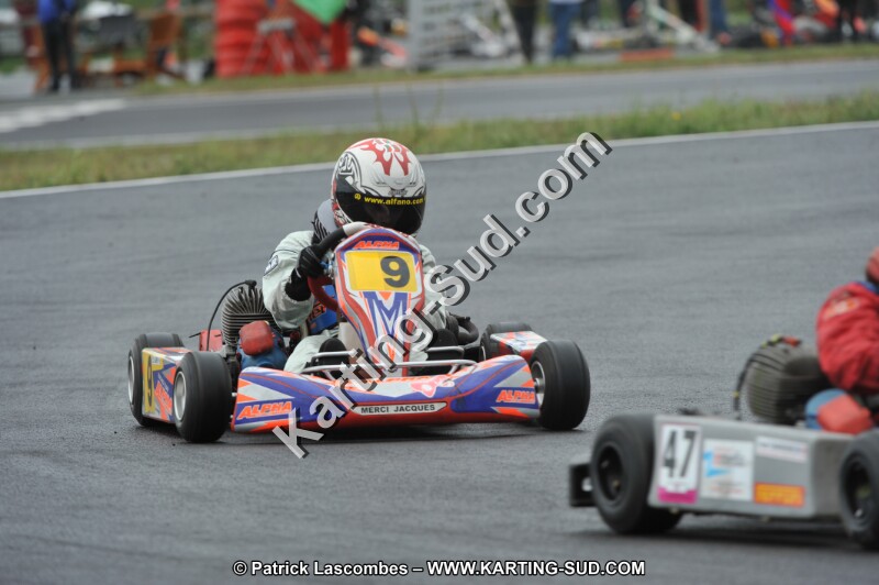 DSC_8235.JPG