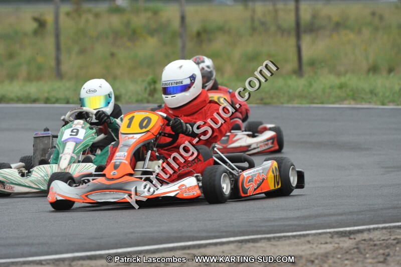 DSC_8248.JPG