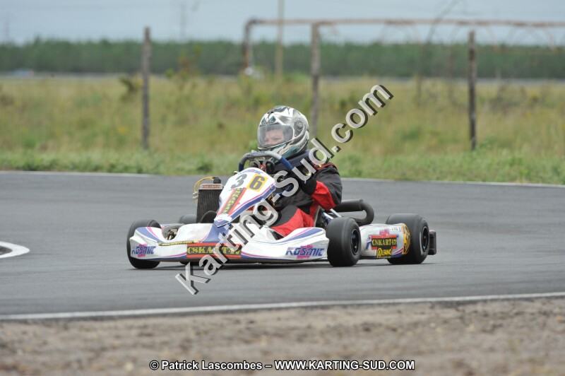 DSC_8284.JPG