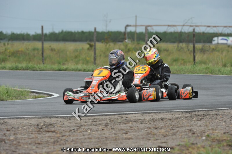 DSC_8285.JPG