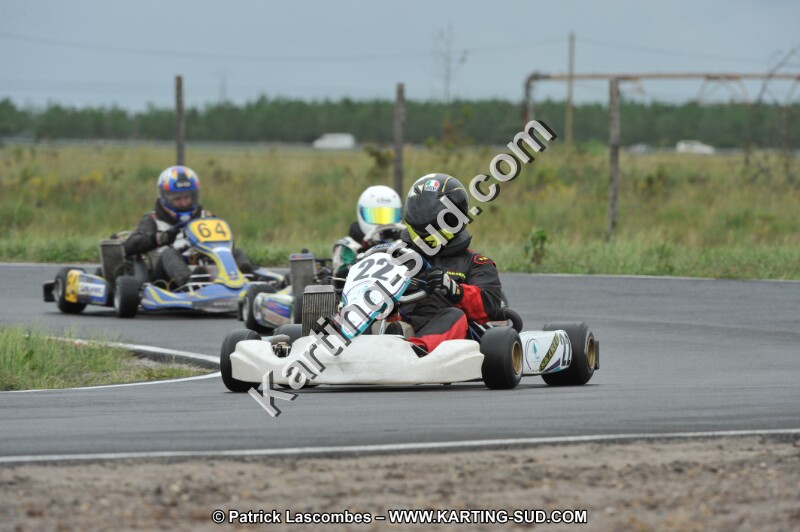 DSC_8290.JPG