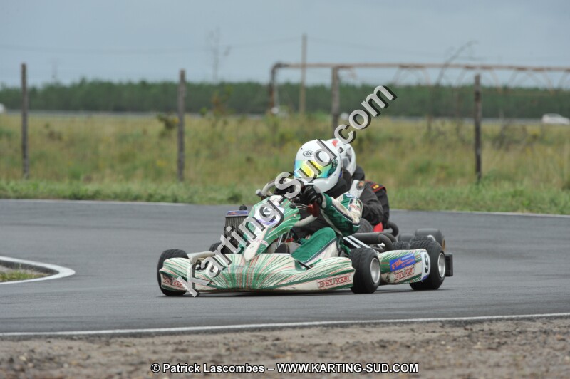 DSC_8291.JPG