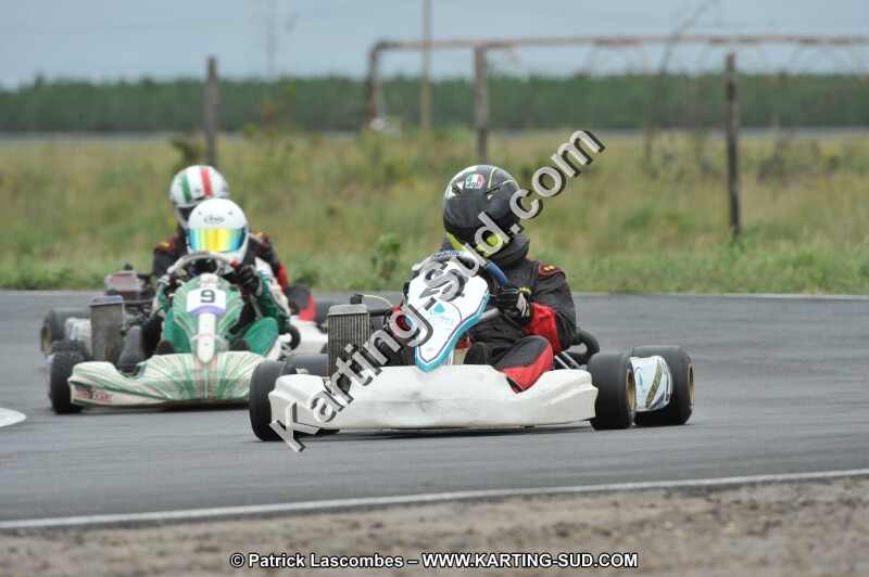 DSC_8323.JPG