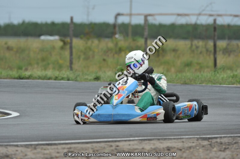 DSC_8337.JPG