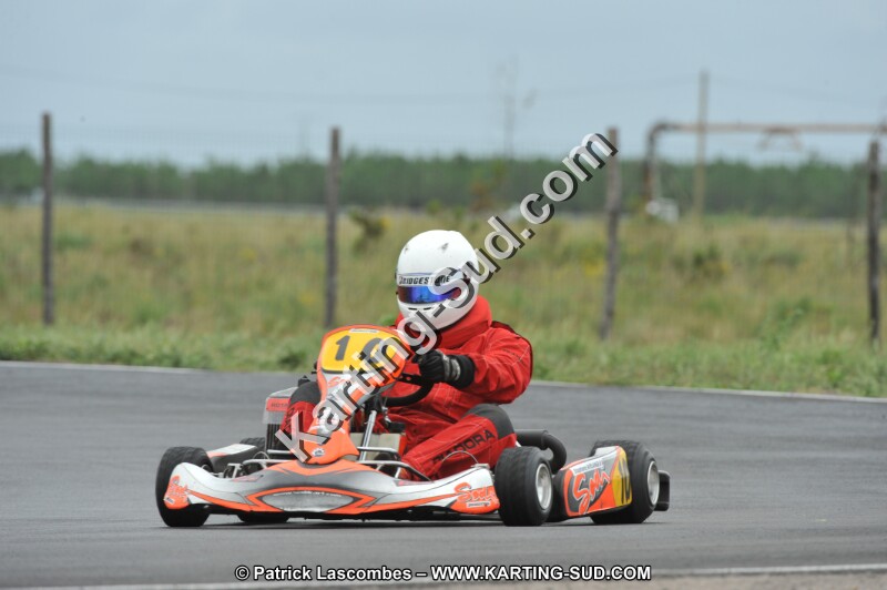 DSC_8377.JPG