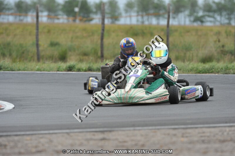 DSC_8382.JPG