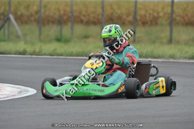 DSC_8488.JPG