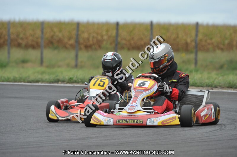DSC_8546.JPG