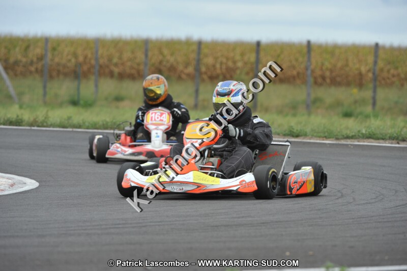 DSC_8555.JPG