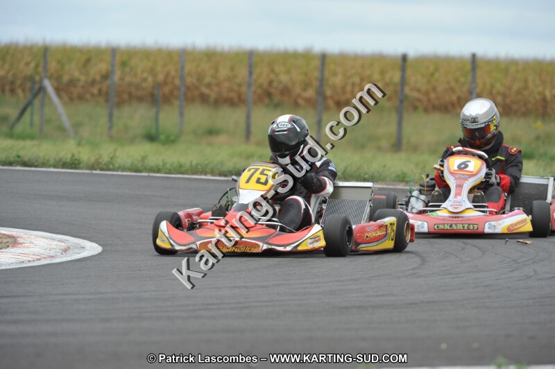 DSC_8557.JPG