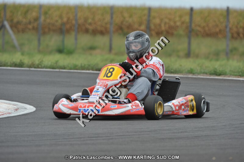 DSC_8572.JPG