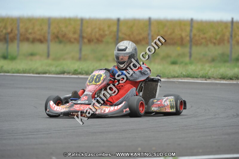 DSC_8582.JPG