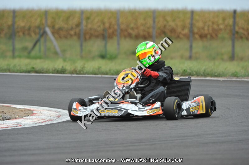 DSC_8584.JPG