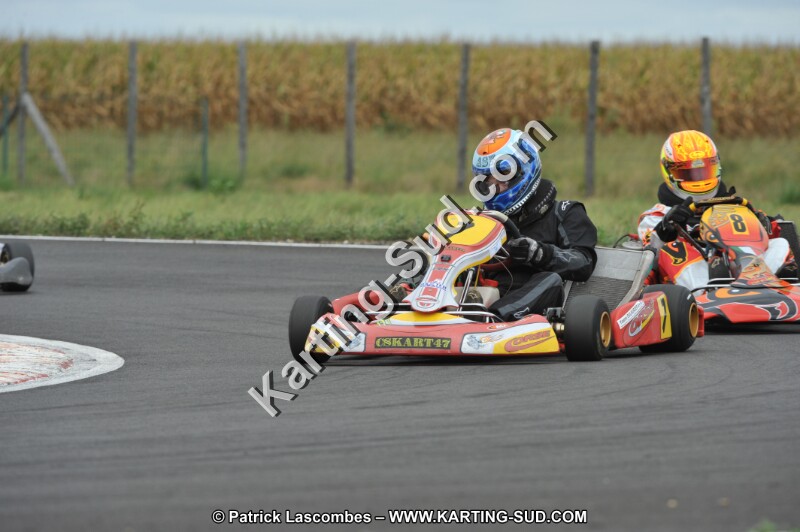 DSC_8597.JPG