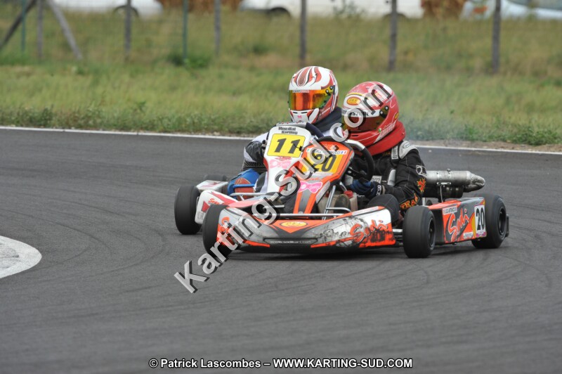 DSC_8645.JPG