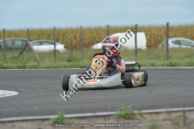 DSC_8667.JPG
