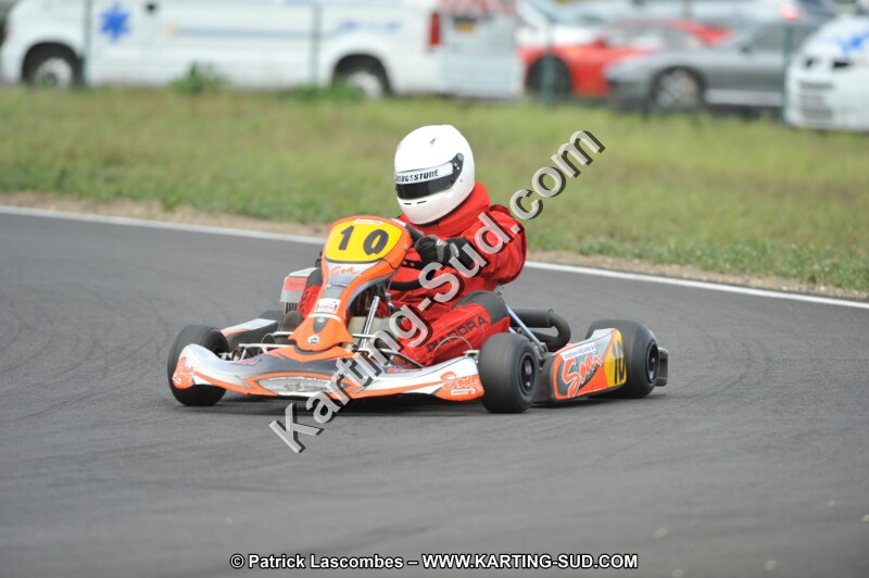 DSC_8768.JPG