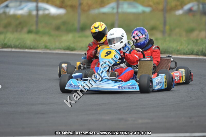 DSC_8937.JPG