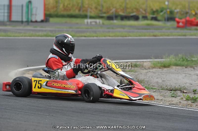 DSC_5523.JPG