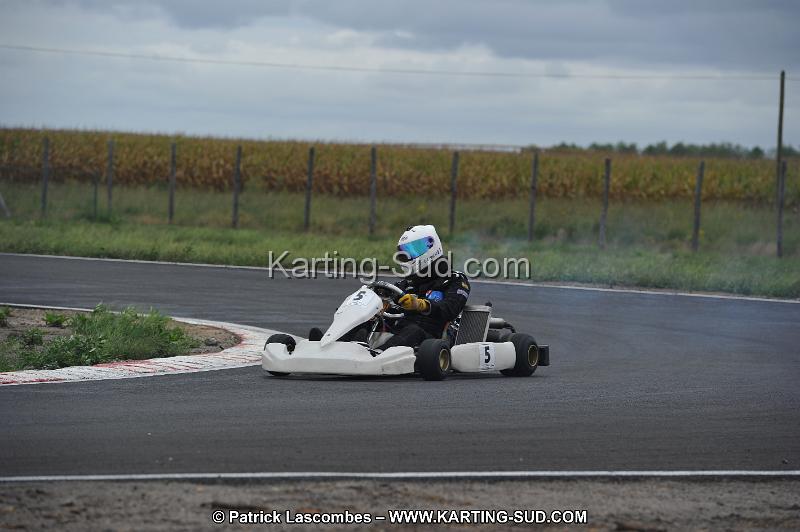 DSC_5950.JPG