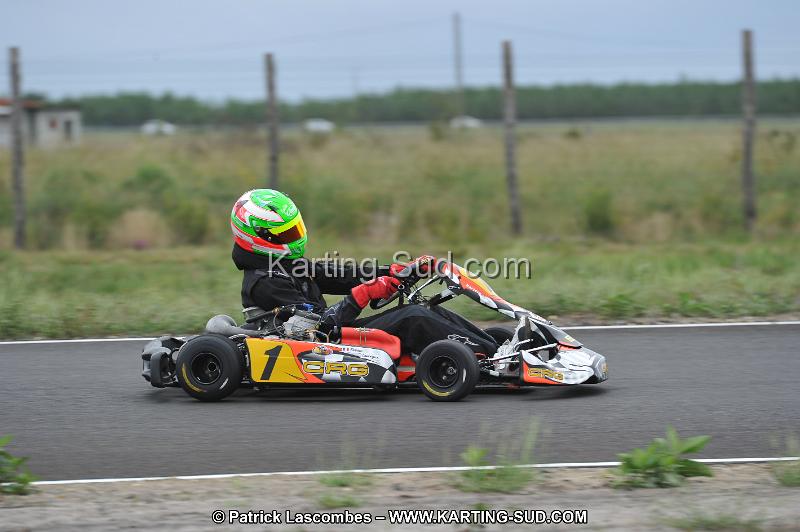 DSC_5998.JPG