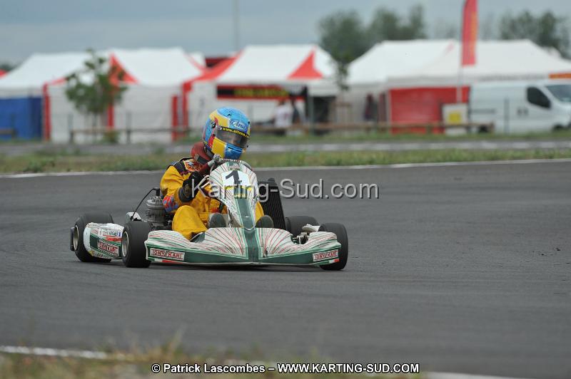DSC_7329.JPG