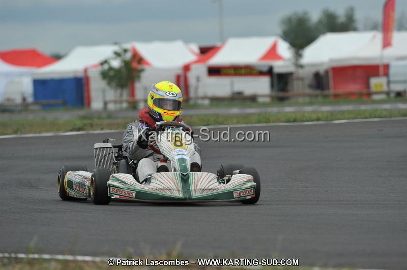 DSC_7335.JPG