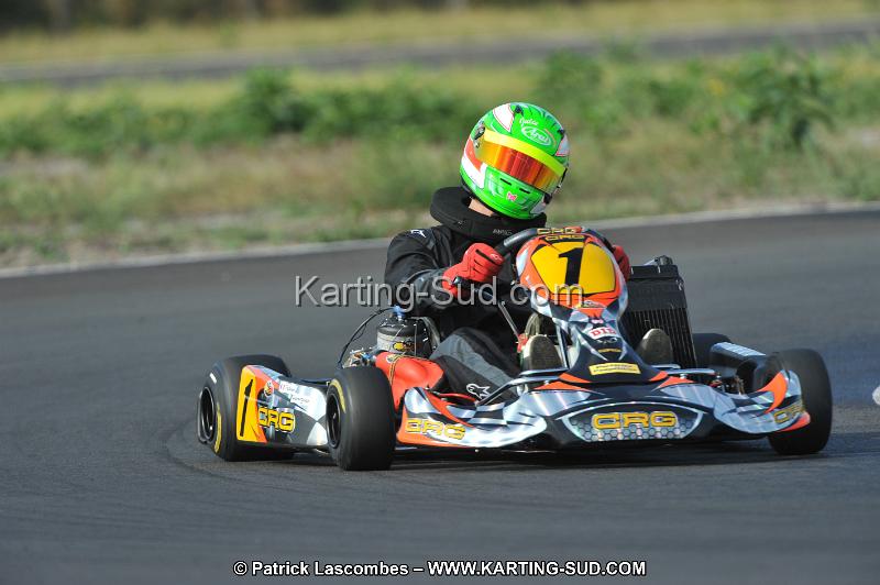 DSC_7948.JPG