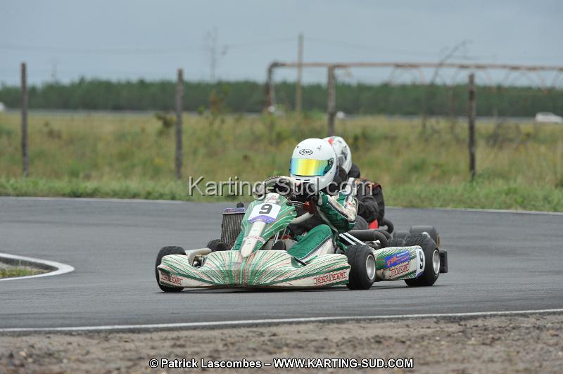 DSC_8291.JPG