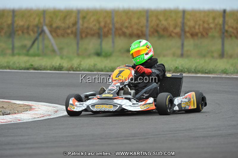 DSC_8584.JPG