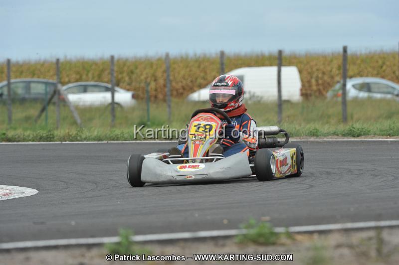 DSC_8667.JPG