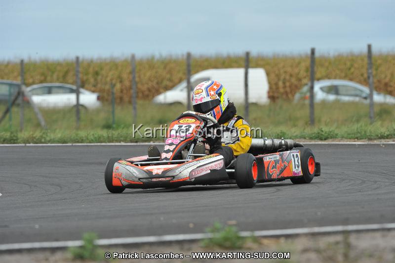 DSC_8668.JPG