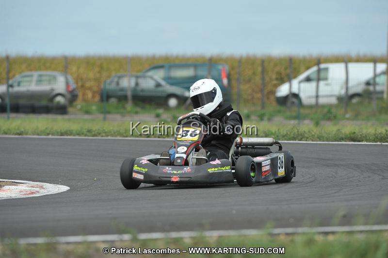DSC_8684.JPG