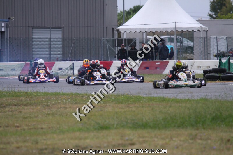 IMG_2229.JPG