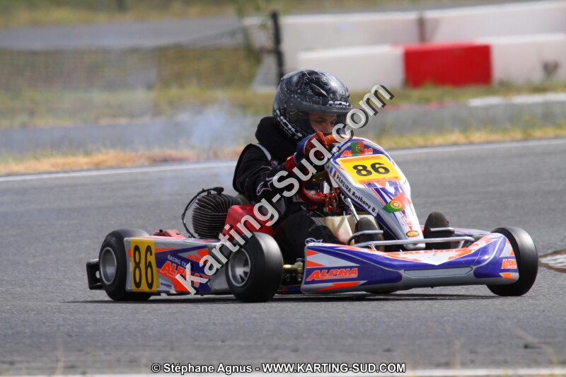 IMG_2490.JPG