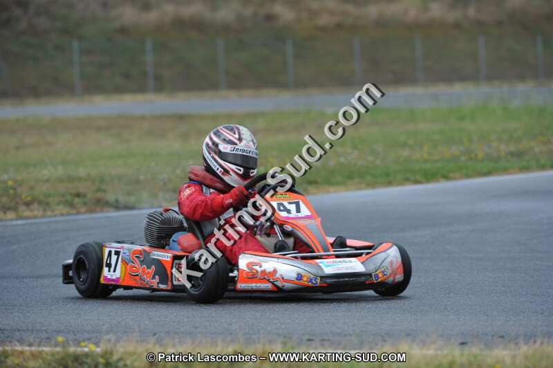 DSC_6230.JPG
