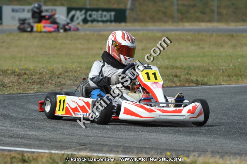 DSC_6310.JPG