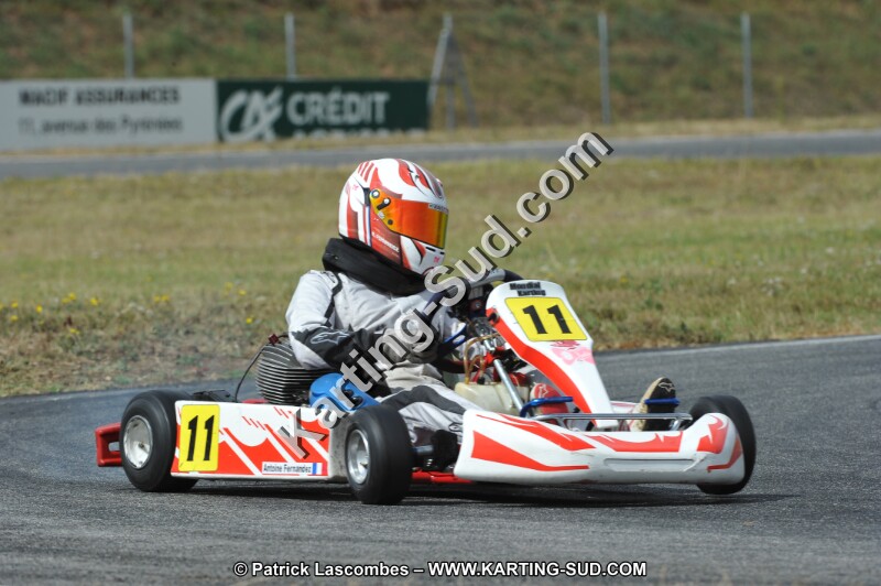 DSC_6319.JPG
