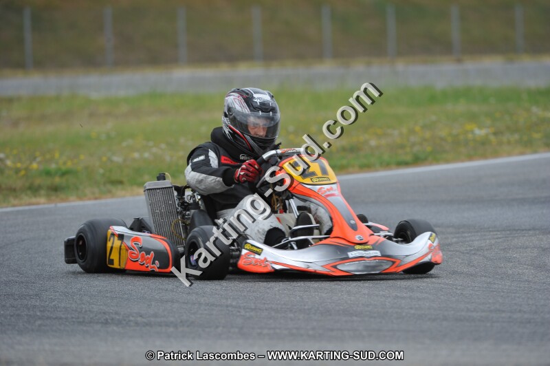 DSC_6390.JPG