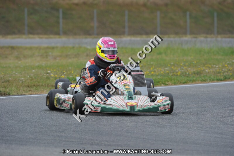 DSC_6595.JPG